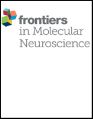 Frontiers in Molecular Neuroscience