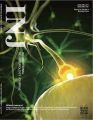 International neurourology journal