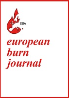 European Burn Jourmal