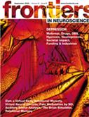 Frontiers in Human Neuroscience