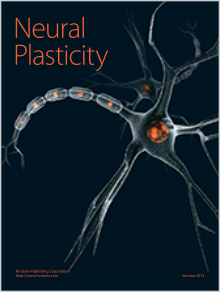 Neural Plasticity